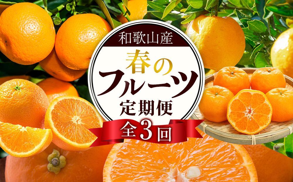 和歌山の春のフルーツ（ポンカン・清見オレンジ・セミノールオレンジ）定期便 全3回 【2月・3月・4月発送】【TM184】