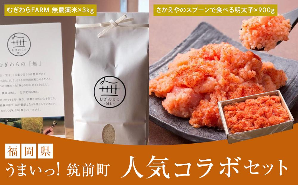 ＜うまい筑前町！人気コラボセット＞ 明太子900g＆無農薬米3kg【明太子 辛子明太子 めんたいこ 魚卵 米 こめ 白米 無農薬米 コラボ コラボ品 明太子 お米 セット 食品 おすすめ 人気 ふるさと納税 福岡県 筑前町 送料無料 AC031】