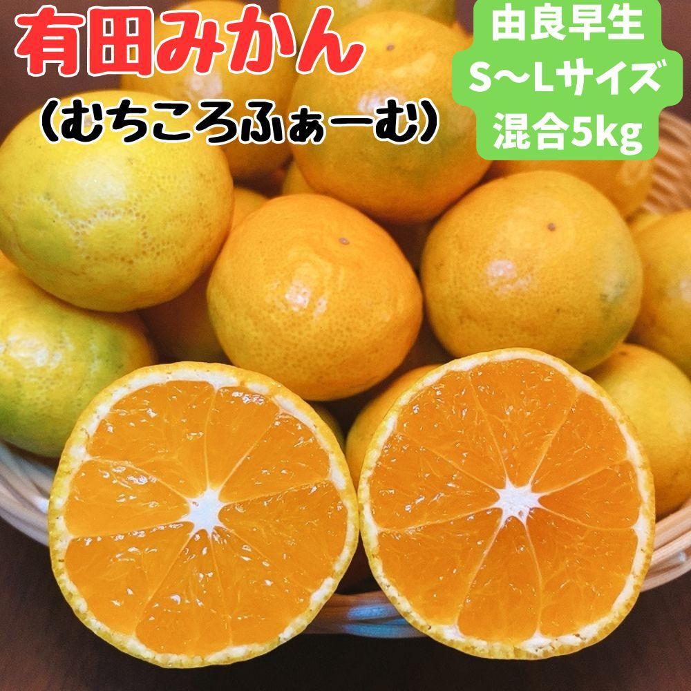 有田みかん 由良早生S～Lサイズ混合 約5kg 【2025年発送 先行予約】