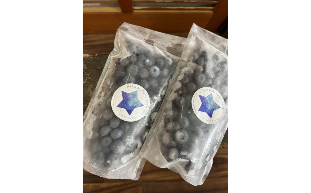 フローズンブルーベリー800g（400g×2）　☆使いやすいサイズ　爽やかな酸味の完熟の冷凍能登ブルーベリー