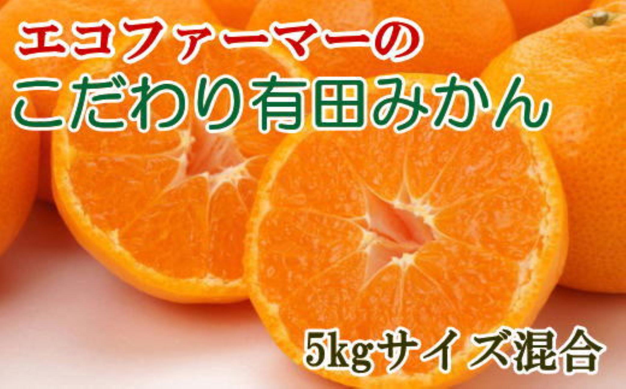 エコファーマーのこだわり 有田みかん 約5kg サイズ混合 秀・優品 ★2024年11月中旬頃より順次発送