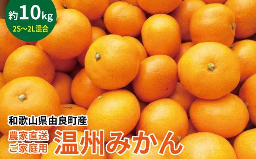 農家直送 ご家庭用 和歌山県由良町産温州みかん 約10kg 2S～2Lサイズ混合