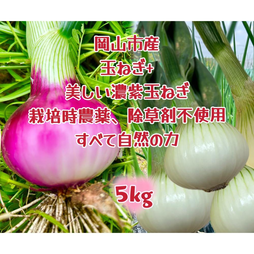 【先行予約】岡山市産 みずみずしい玉ねぎ2.5kgと赤玉ねぎ2.5kgのセット(サイズ混合)
