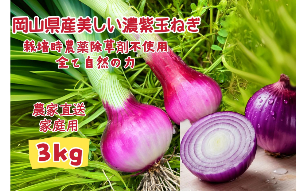 甘すぎ新鮮岡山市産&nbsp;赤紫玉ねぎ3kg&nbsp;減化学肥料&nbsp;家庭用&nbsp;タマネギ&nbsp;生食&nbsp;健康&nbsp;野菜&nbsp;食品&nbsp;栽培期間中農薬・除草剤不使用自然の力健康野菜&nbsp;訳あり(サイズ混合)