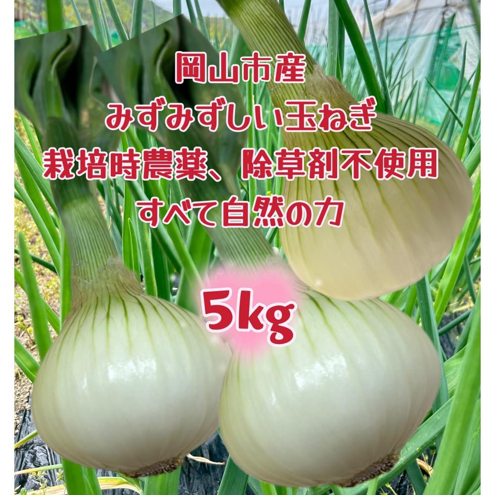 岡山市産&nbsp;玉ねぎ5kg(サイズ混合)栽培期間中農薬・除草剤不使用全て自然の力健康野菜