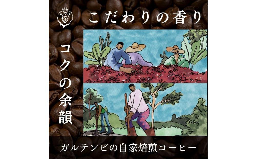 ガルテンビコーヒー 2種飲み比べセット　豆のまま　500g（250ｇ×2袋）