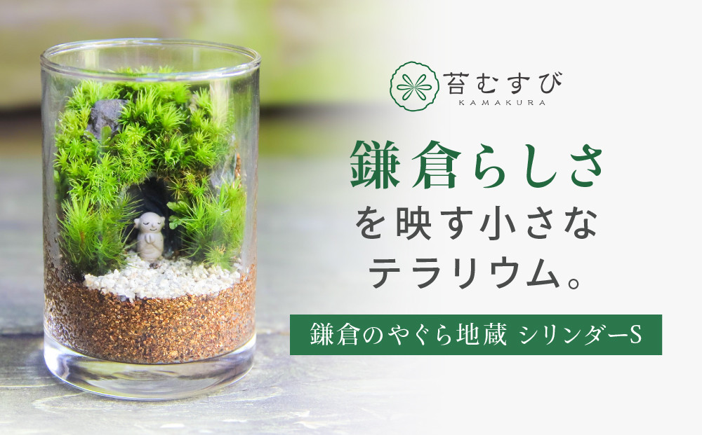 《苔テラリウム・コケリウム》鎌倉のやぐら地蔵＿シリンダーS