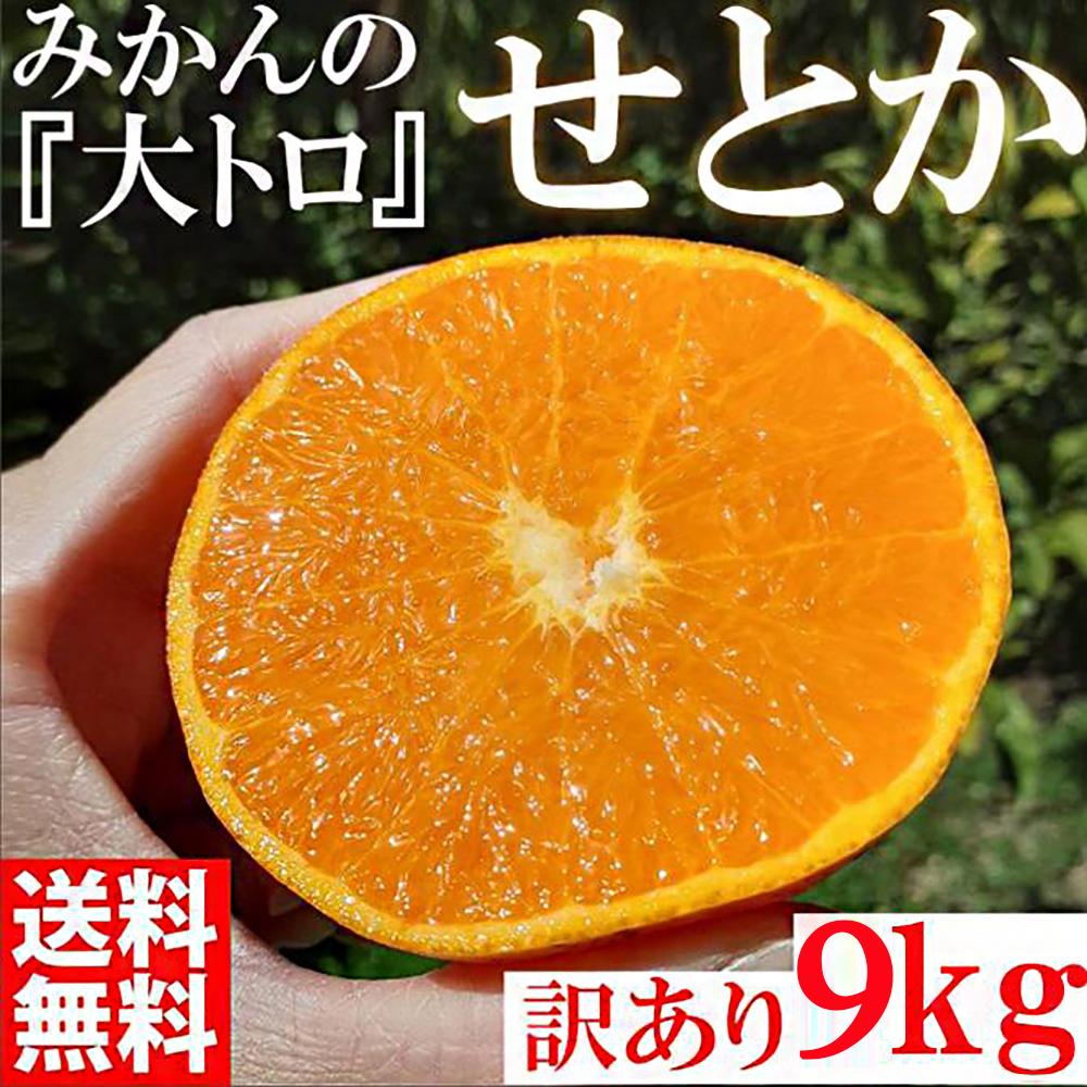 みかん の大トロ せとか 約9kg S～LLサイズ混合 訳あり ブランド 和歌山 有田 みかん 農家直送 オレンジ フルーツ 果物