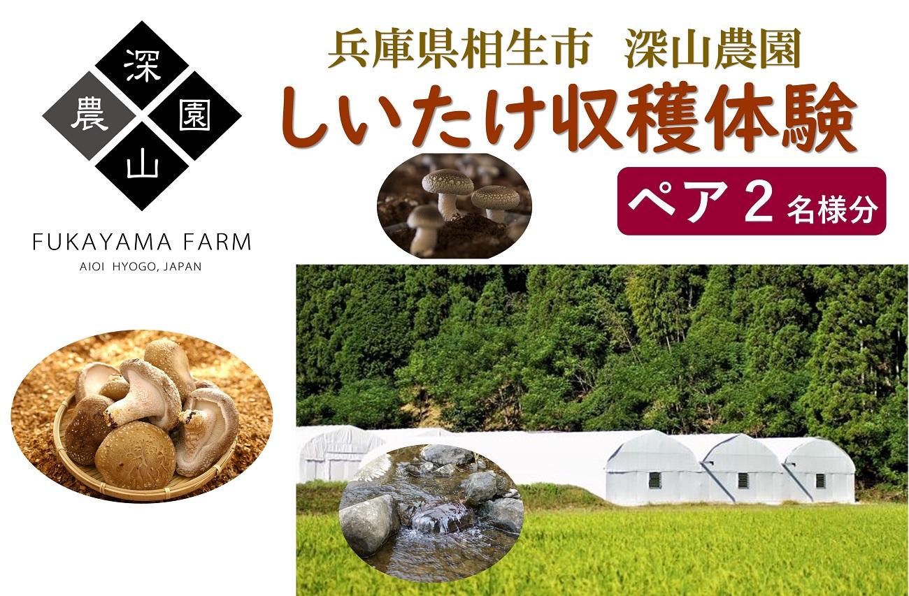 【兵庫県相生市】深山農園の&nbsp;「収穫体験ペアチケット」