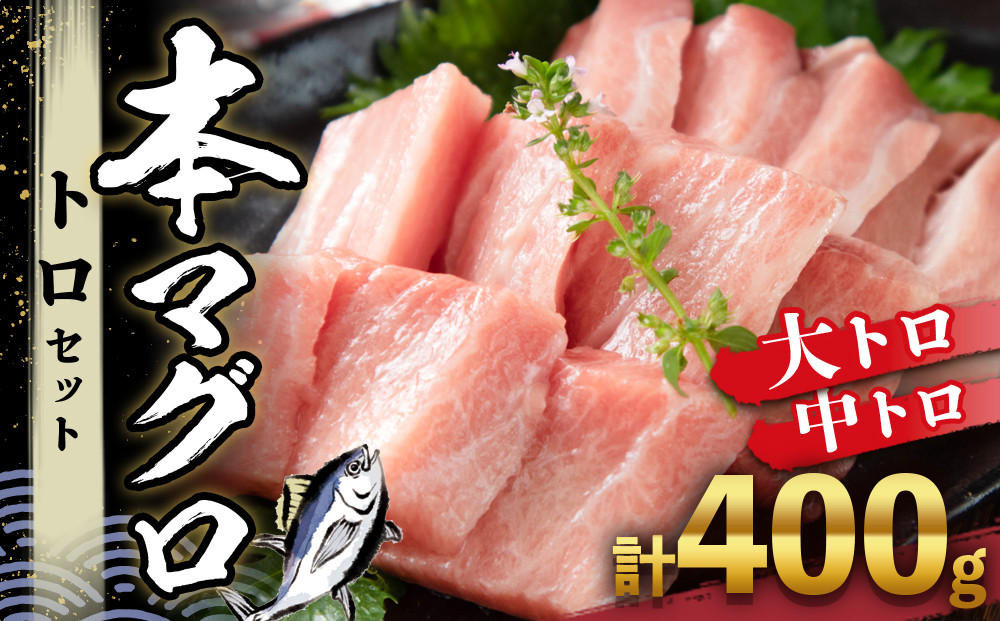 本マグロ&nbsp;トロセット&nbsp;400g&nbsp;|&nbsp;那智勝浦町&nbsp;海鮮&nbsp;魚介類&nbsp;本まぐろ&nbsp;本マグロ&nbsp;まぐろ&nbsp;マグロ&nbsp;鮪&nbsp;maguro&nbsp;トロ&nbsp;刺身用&nbsp;セット&nbsp;人気&nbsp;おすすめ&nbsp;グルメ&nbsp;大トロ&nbsp;中トロ&nbsp;寿司&nbsp;国産まぐろ