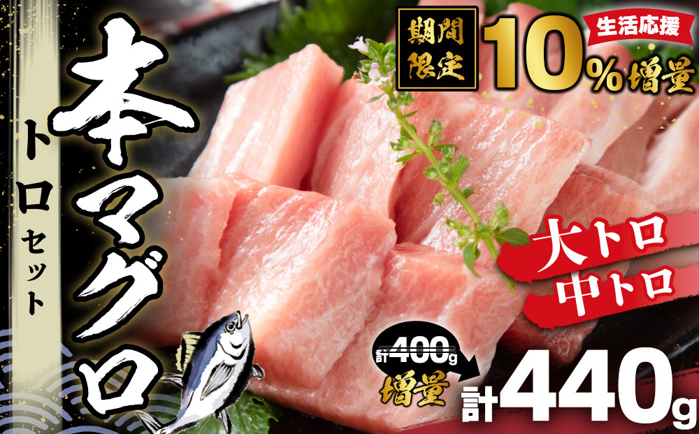 【期間限定】本マグロ&nbsp;トロセット&nbsp;400g&nbsp;|&nbsp;那智勝浦町&nbsp;海鮮&nbsp;魚介類&nbsp;本まぐろ&nbsp;本マグロ&nbsp;まぐろ&nbsp;マグロ&nbsp;鮪&nbsp;maguro&nbsp;トロ&nbsp;刺身用&nbsp;セット&nbsp;人気&nbsp;おすすめ&nbsp;グルメ&nbsp;大トロ&nbsp;中トロ&nbsp;寿司&nbsp;国産まぐろ&nbsp;生活応援