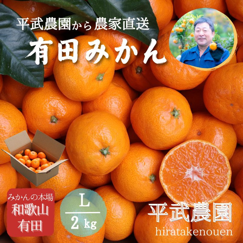 農家直送！有田みかん（2kg&nbsp;Lサイズ&nbsp;秀品）平武農園　～蛍飛ぶ町から旬の便り～