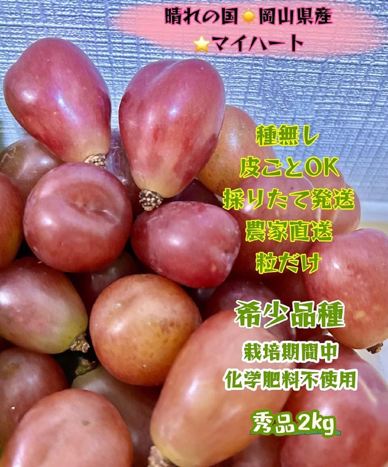 ぶどう&nbsp;2026年&nbsp;&nbsp;マイハート&nbsp;秀品&nbsp;粒だけ&nbsp;約2kg&nbsp;岡山&nbsp;国産&nbsp;果物&nbsp;フルーツ&nbsp;&nbsp;2026年8月中旬から発送