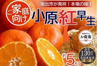 【お歳暮ギフト】ご家庭向け！小原紅早生みかん　約５ｋｇ【坂出発祥の真っ紅なお蜜柑】