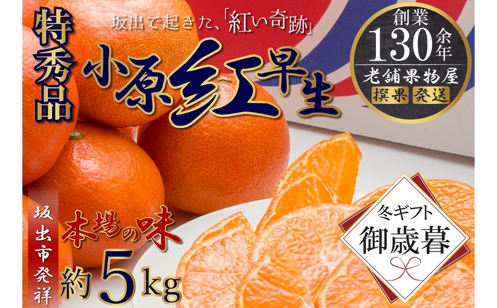 【お歳暮ギフト/熨斗対応】特秀品！小原紅早生みかん　約5kg【坂出発祥の真っ紅なお蜜柑】
