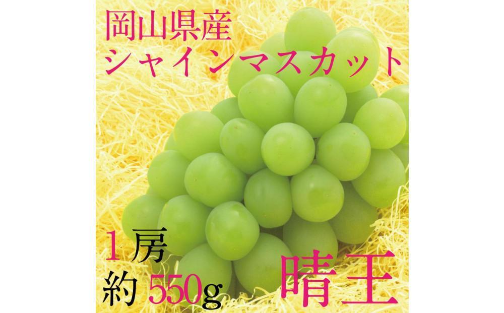 [HS]ぶどう 2025年 先行予約 9月・10月発送 シャイン マスカット 晴王 1房 約550g【ブドウ 葡萄  岡山県産 国産 フルーツ 果物 ギフト】