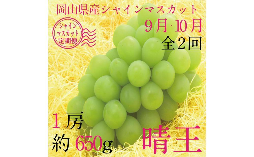 [HS]【定期便 全2回】ぶどう 2025年 先行予約 9月・10月発送 シャイン マスカット 晴王 1房 約650g【ブドウ 葡萄  岡山県産 国産 フルーツ 果物 ギフト】