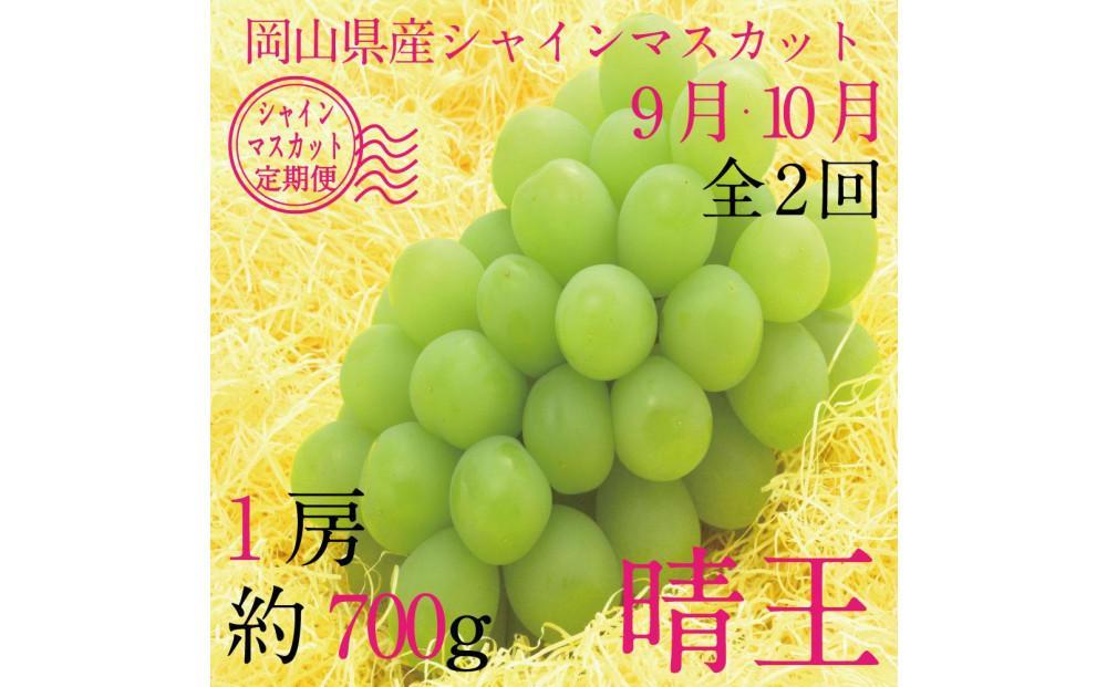 [HS]【定期便 全2回】ぶどう 2025年 先行予約 9月・10月発送 シャイン マスカット 晴王 1房 約700g【ブドウ 葡萄  岡山県産 国産 フルーツ 果物 ギフト】