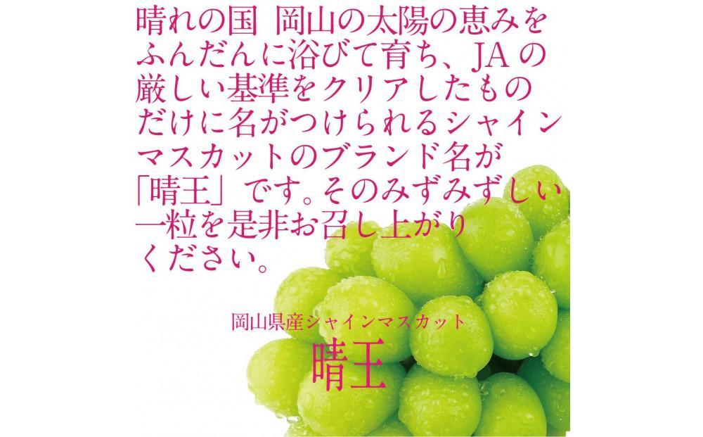 HS]【定期便 全2回】ぶどう 2025年 先行予約 9月・10月発送 シャイン マスカット 晴王 1房 約700g【ブドウ 葡萄 岡山県産 国産  フルーツ 果物 ギフト】 | JTBのふるさと納税サイト [ふるぽ]