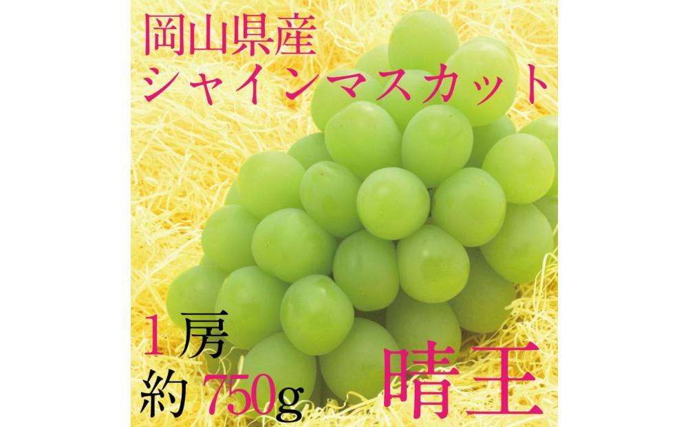 [HS]ぶどう 2025年 先行予約 9月・10月発送 シャイン マスカット 晴王 1房 約750g【ブドウ 葡萄  岡山県産 国産 フルーツ 果物 ギフト】