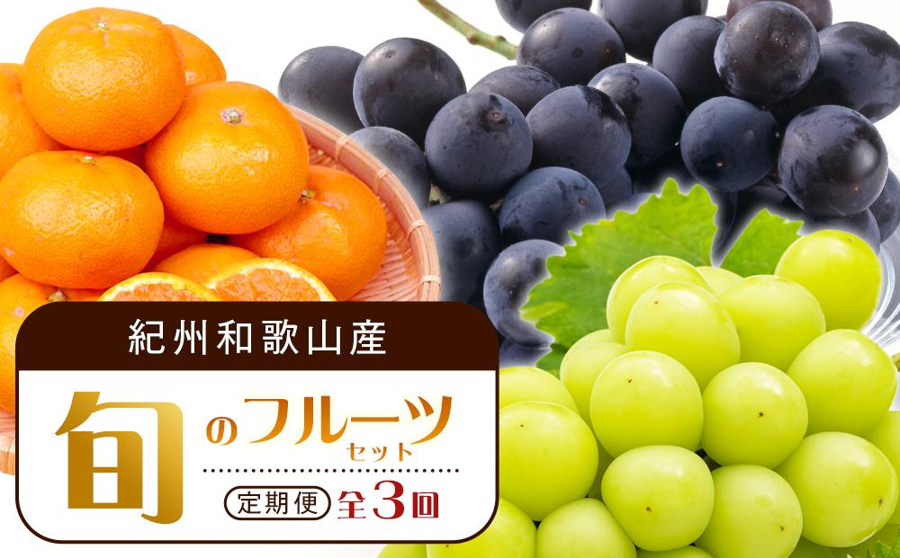 【8・9・12月&nbsp;全3回&nbsp;定期便&nbsp;】紀州和歌山産旬のフルーツセット（種なし巨峰・シャインマスカット・みかん）【UT122】