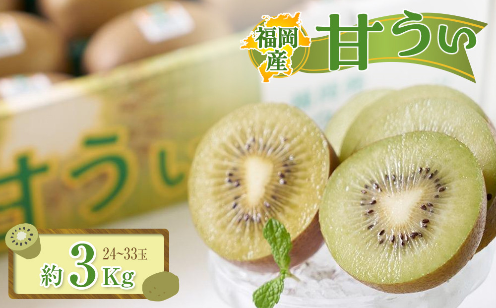 福岡産「甘うぃ」約3kg(24-33玉)【筑前町】【きうい&nbsp;キウイ&nbsp;キウイフルーツ&nbsp;甘うぃ&nbsp;福岡県産&nbsp;ブランド&nbsp;フルーツ&nbsp;果物&nbsp;くだもの&nbsp;人気&nbsp;おすすめ&nbsp;ギフト&nbsp;贈答&nbsp;福岡県&nbsp;筑前町&nbsp;DX016】
