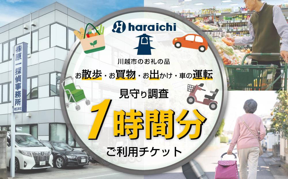 ご家族の散歩・買物・運転の見守り調査チケット（１時間分）