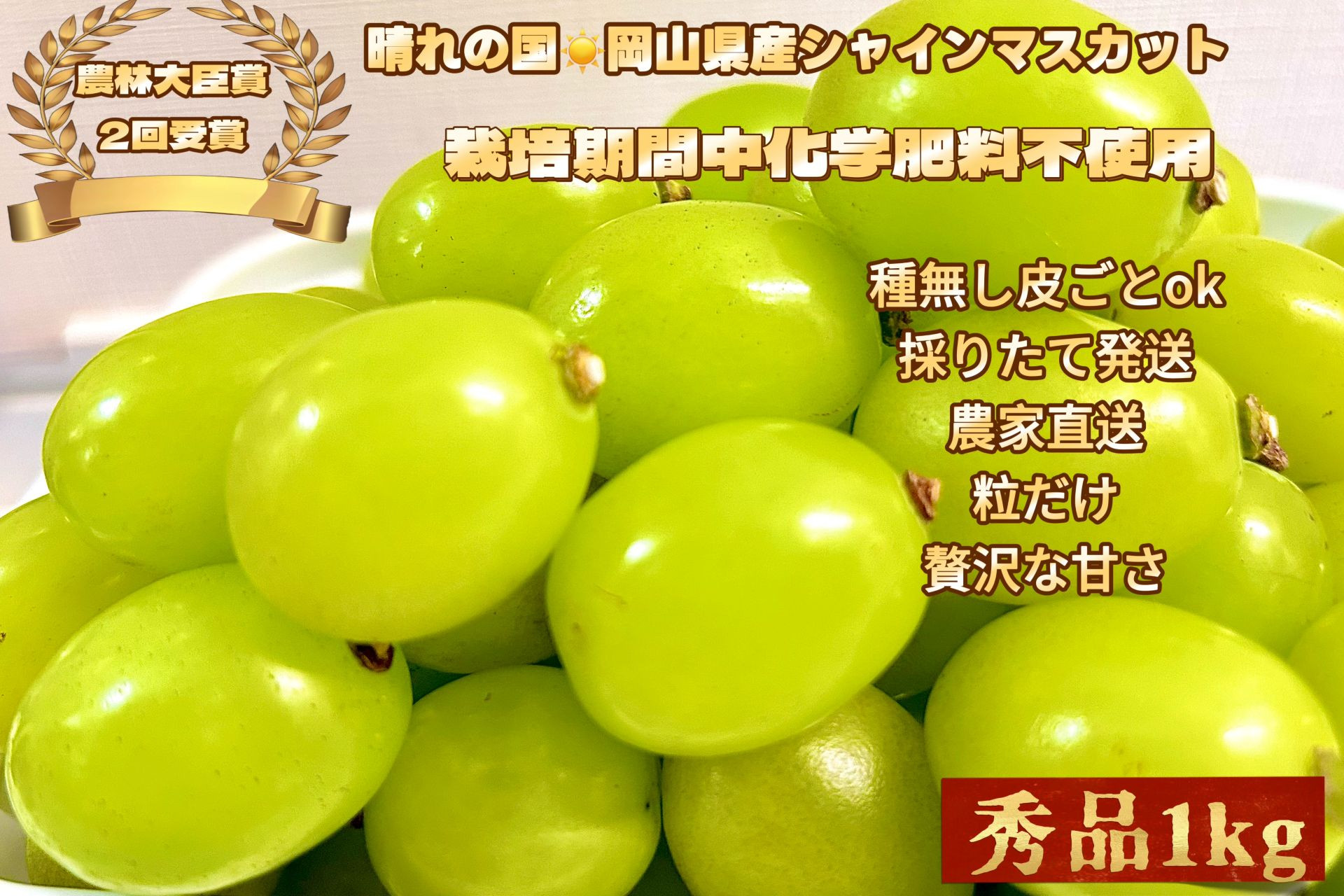 ぶどう2026年&nbsp;&nbsp;シャインマスカット&nbsp;秀品&nbsp;粒だけ&nbsp;約1kg&nbsp;&nbsp;家庭用&nbsp;&nbsp;農林大臣賞2回受賞&nbsp;&nbsp;岡山&nbsp;果物&nbsp;フルーツ&nbsp;&nbsp;採りたて発送&nbsp;農家直送&nbsp;数量限定&nbsp;新鮮&nbsp;&nbsp;2026年6月下旬から発送