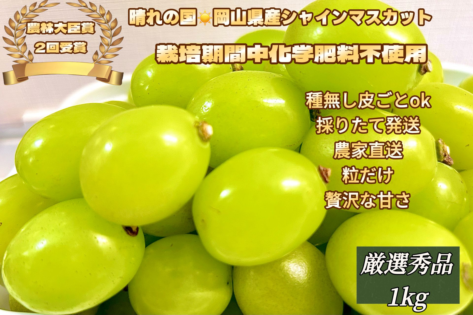 ぶどう&nbsp;2026年&nbsp;&nbsp;シャインマスカット&nbsp;厳選&nbsp;秀品&nbsp;粒だけ&nbsp;約1kg&nbsp;&nbsp;家庭用&nbsp;&nbsp;農林大臣賞2回受賞&nbsp;&nbsp;岡山&nbsp;果物&nbsp;フルーツ&nbsp;&nbsp;採りたて発送&nbsp;農家直送&nbsp;数量限定&nbsp;新鮮&nbsp;&nbsp;7月上旬から発送