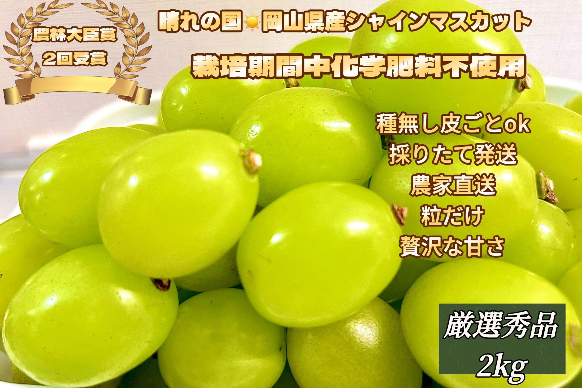 ぶどう&nbsp;2026年&nbsp;&nbsp;シャインマスカット&nbsp;厳選&nbsp;秀品&nbsp;粒だけ&nbsp;約2kg&nbsp;&nbsp;家庭用&nbsp;&nbsp;農林大臣賞2回受賞&nbsp;&nbsp;岡山&nbsp;果物&nbsp;フルーツ&nbsp;&nbsp;採りたて発送&nbsp;農家直送&nbsp;数量限定&nbsp;新鮮&nbsp;7月上旬から発送