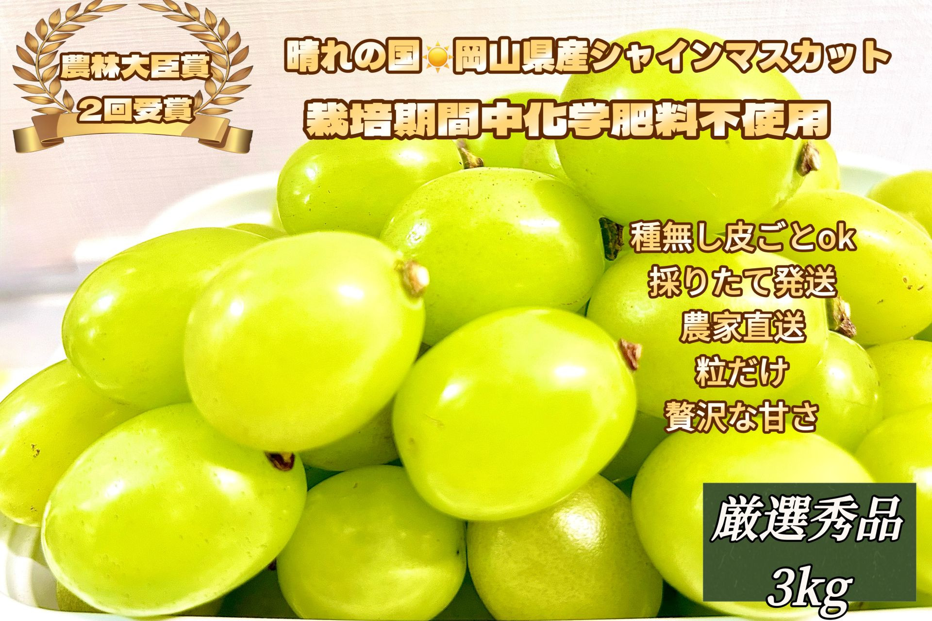 ぶどう&nbsp;2026年&nbsp;&nbsp;シャインマスカット&nbsp;厳選&nbsp;秀品&nbsp;粒だけ&nbsp;約3kg&nbsp;&nbsp;家庭用&nbsp;農林大臣賞2回受賞&nbsp;&nbsp;岡山&nbsp;果物&nbsp;フルーツ&nbsp;&nbsp;採りたて発送&nbsp;農家直送&nbsp;数量限定&nbsp;新鮮&nbsp;7月上旬から発送