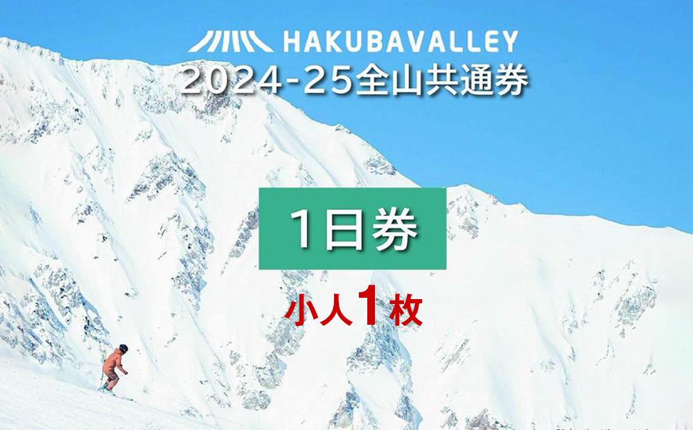 2024-2025 Hakuba Valley 全山共通1日券 小人1枚