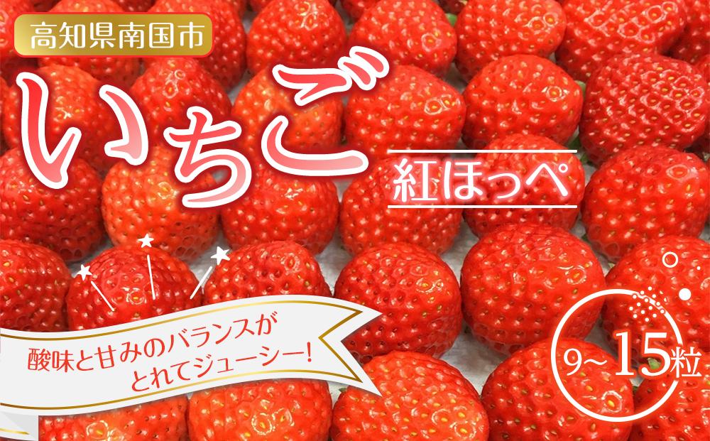 南国市産いちご １パック（9～15粒）