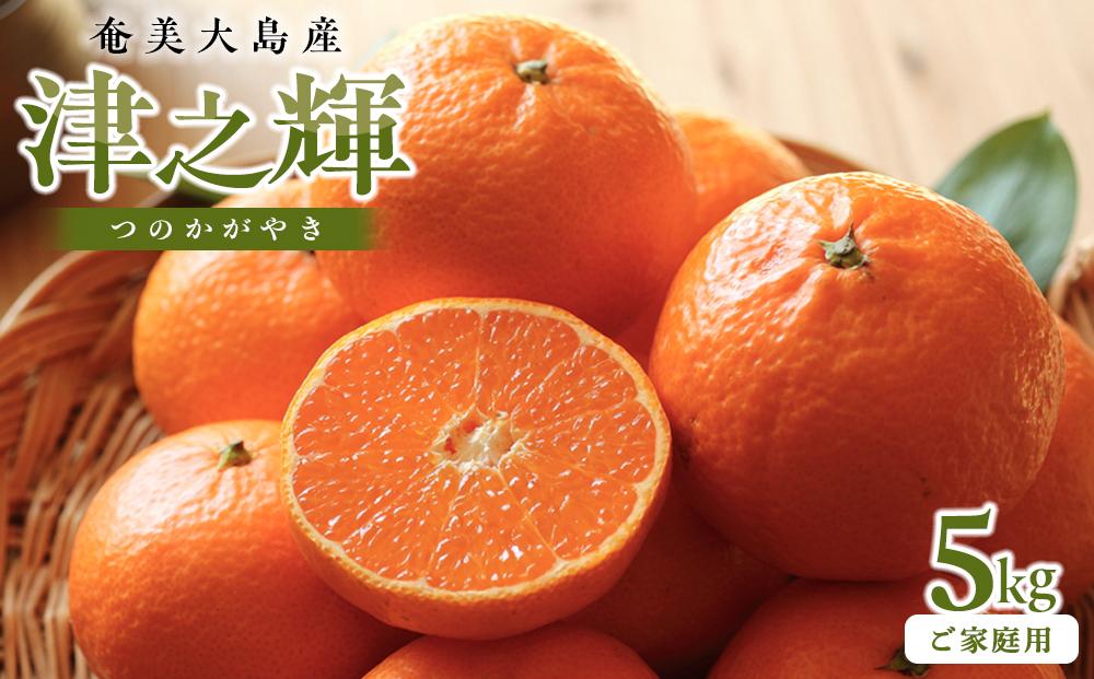 奄美大島産　津之輝 5kg ご家庭用＜12月上旬より発送＞