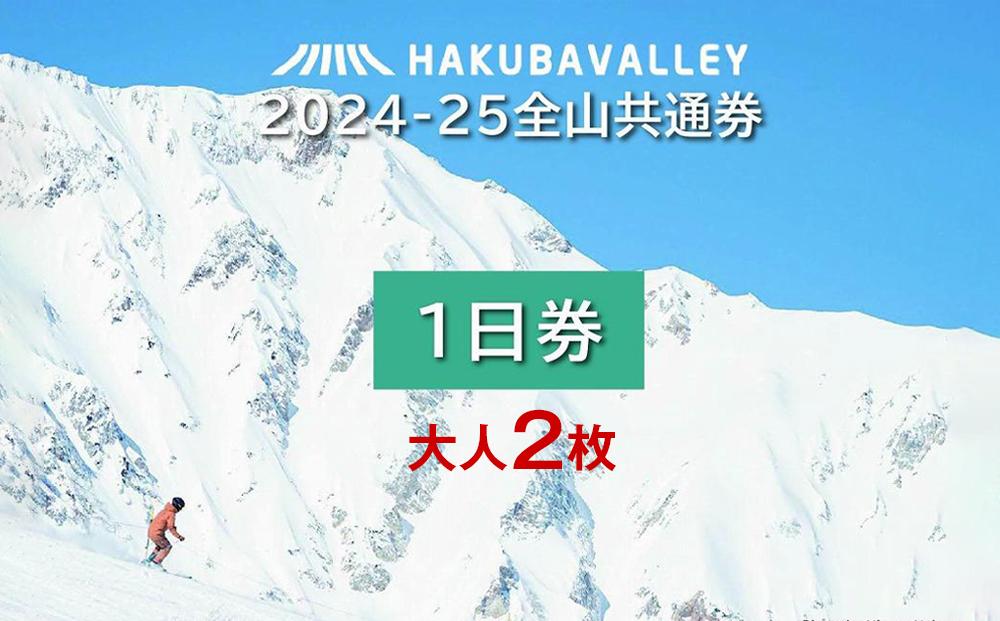 2024-2025 Hakuba Valley 全山共通1日券 大人2枚