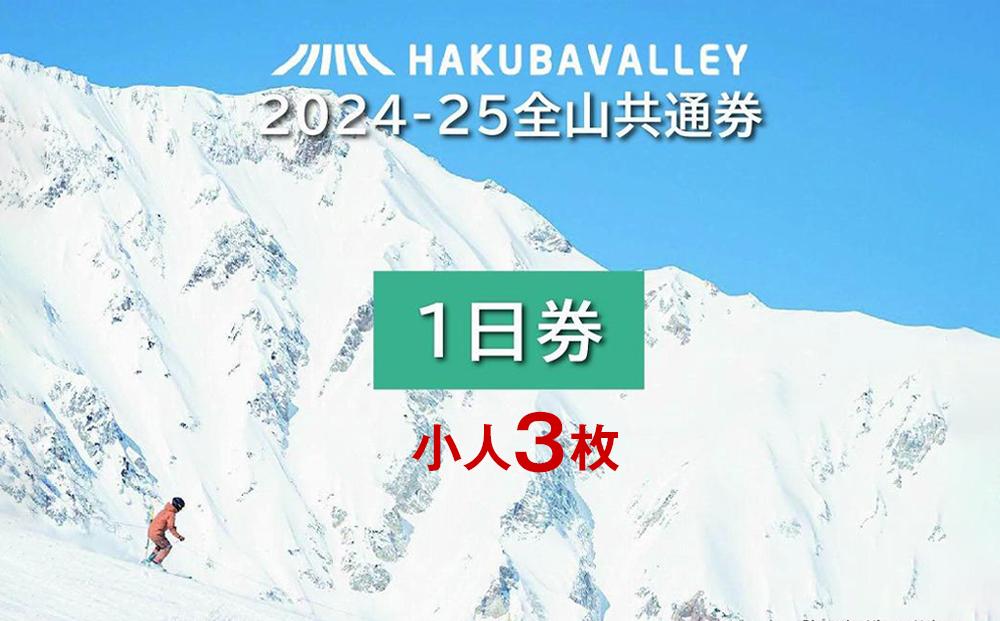 2024-2025 Hakuba Valley 全山共通1日券 小人3枚