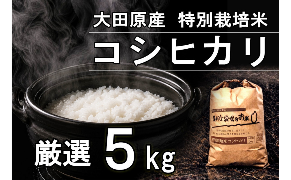 栃木県大田原産コシヒカリ&nbsp;白米&nbsp;5kg｜&nbsp;特別栽培米&nbsp;メディア出演多数&nbsp;栃木県農業大賞&nbsp;知事賞&nbsp;受賞農家&nbsp;五月女農場&nbsp;農家直送&nbsp;産地直送&nbsp;産直&nbsp;栃木県&nbsp;大田原市&nbsp;こしひかり