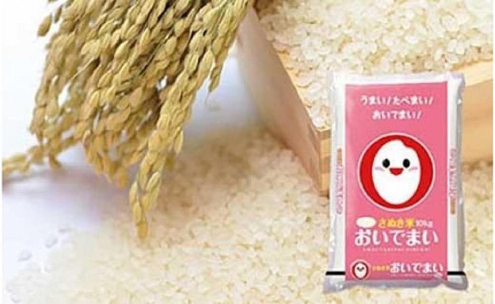 【さぬき米】令和6年産　おいでまい 5kg
