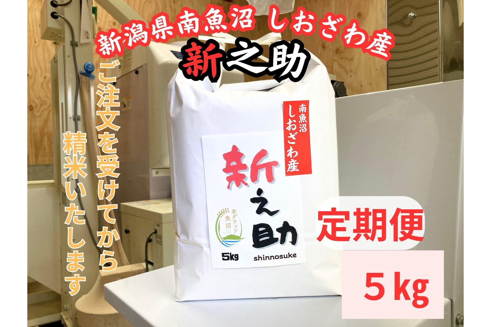 【定期便】南魚沼しおざわ産　新之助　5kg×12か月　新米