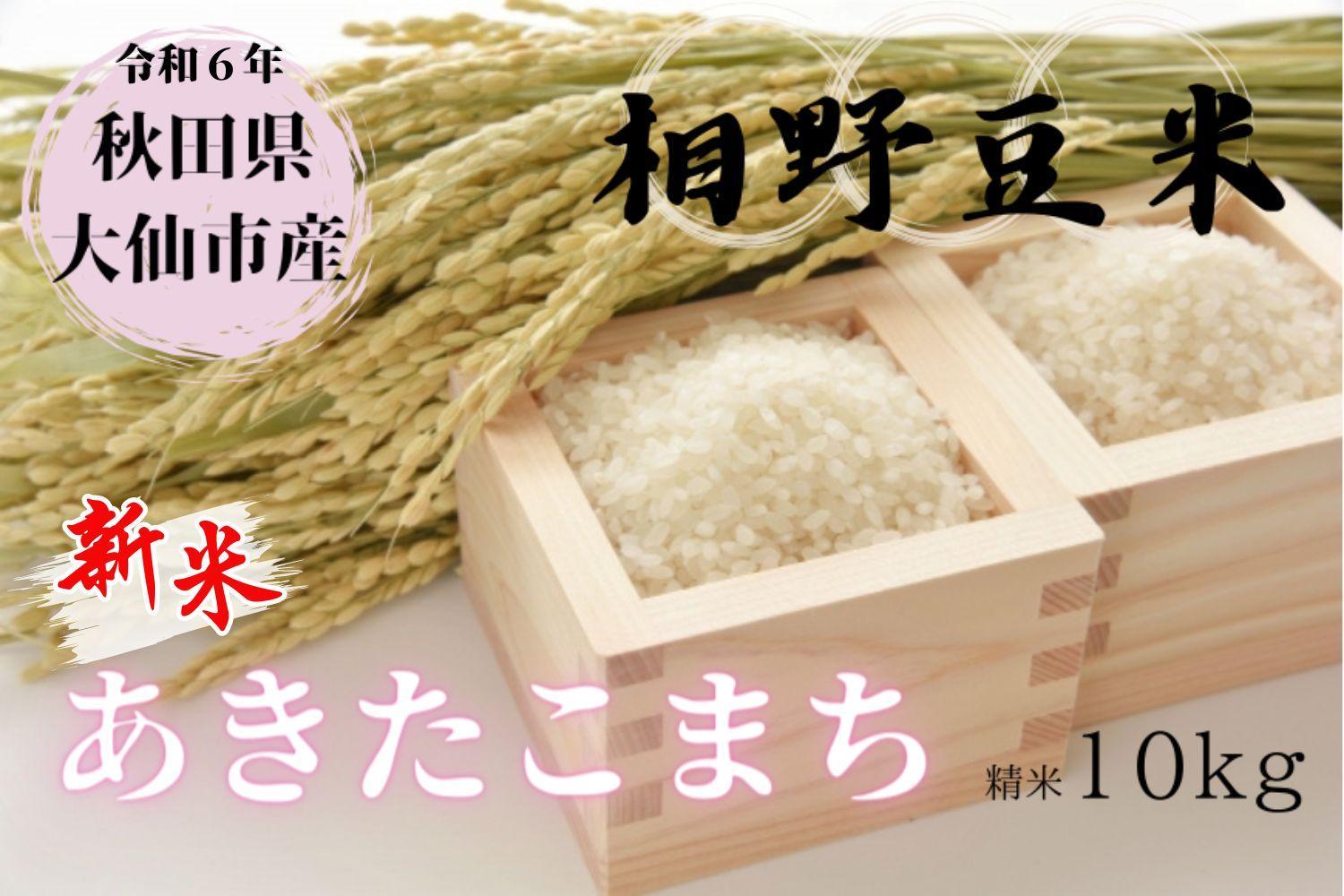 【白米】＜令和6年産＞秋田県大仙市産 あきたこまち 10kg