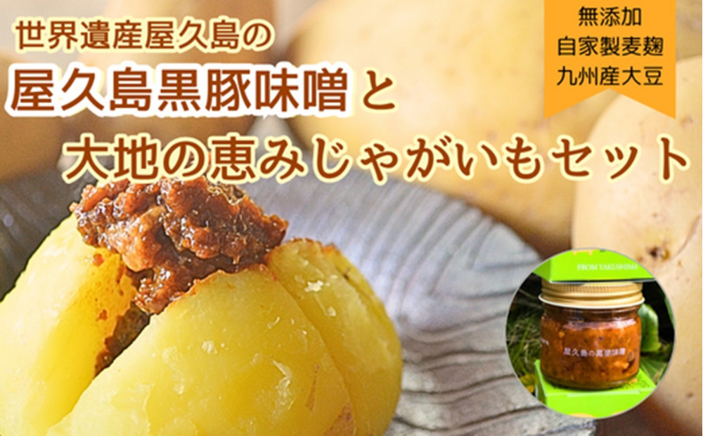 【2026年3月上旬頃から発送】屋久島産黒豚の豚味噌と屋久島産じゃがいもセット5kg＜農薬不使用＞