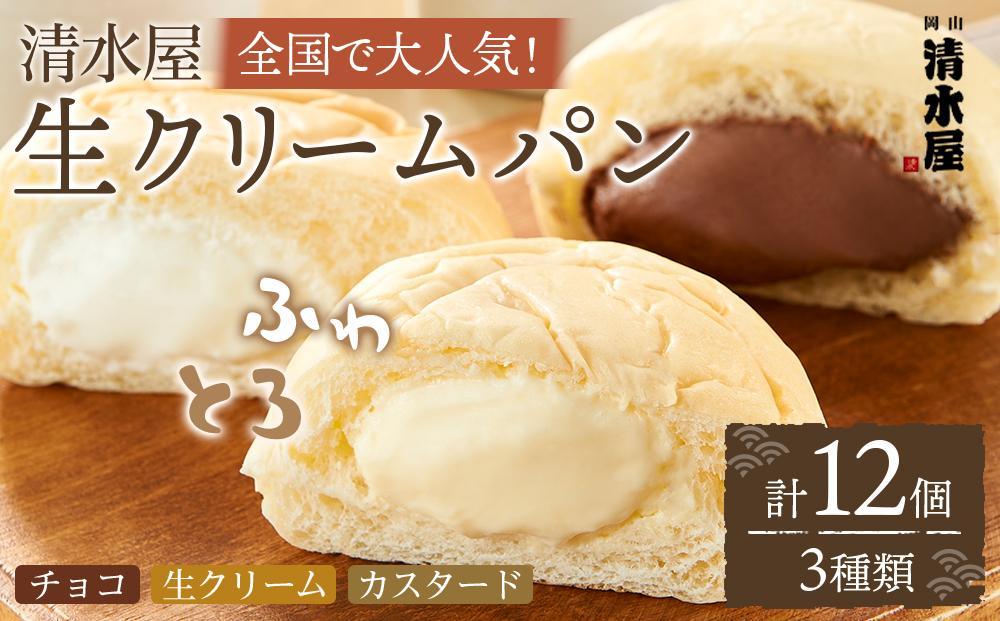 【定期便全３回】＜究極のふわとろ食感＞清水屋 生クリームパン 12個 3種（カスタード・生クリーム・チョコ）