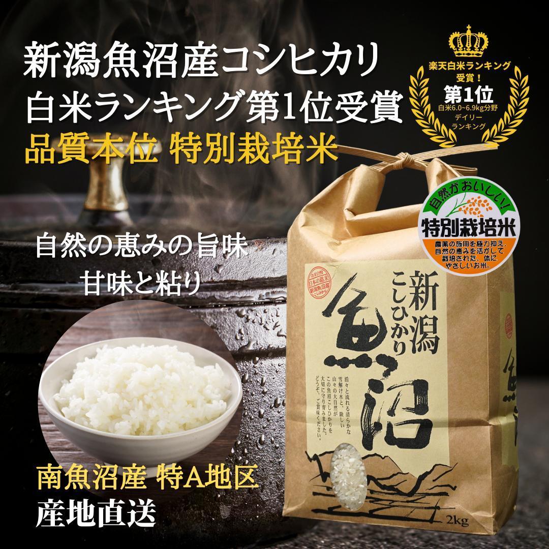 令和6年度産 新潟県南魚沼産コシヒカリ 特別栽培米 白米 4kg