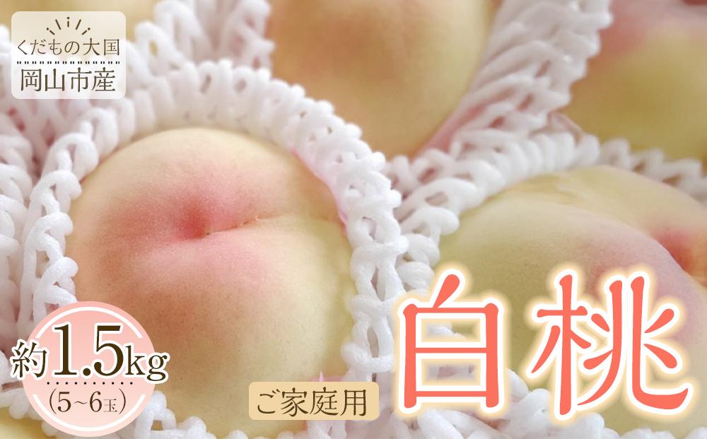 岡山市産 白桃 ご家庭用 約1.5kg 5~6玉 先行予約＜2025年7月上旬～8月下旬頃出荷＞