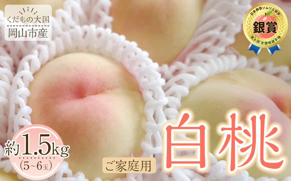 岡山市産&nbsp;白桃&nbsp;ご家庭用&nbsp;約1.5kg&nbsp;5~6玉&nbsp;＜2026年7月上旬～8月下旬頃出荷＞【白桃&nbsp;桃&nbsp;もも&nbsp;果物&nbsp;フルーツ&nbsp;くだもの&nbsp;家庭用&nbsp;先行予約&nbsp;岡山県産&nbsp;岡山市&nbsp;おすすめ&nbsp;人気】