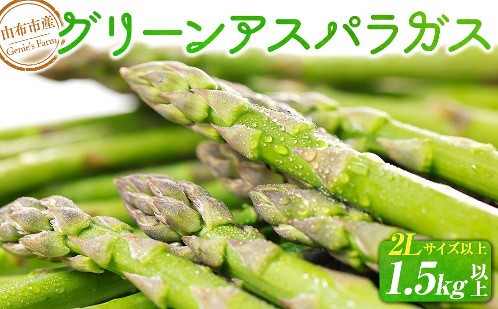 【2025年発送／先行予約】由布市産 グリーンアスパラガス 1.5kg以上 2Lサイズ以上