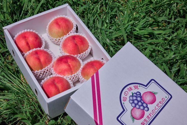 【2026年8月中旬発送】訳あり☆オリジナルブランド富士桃『訳あり』&nbsp;約2キロ&nbsp;河口湖で初の桃栽培！&nbsp;先行予約