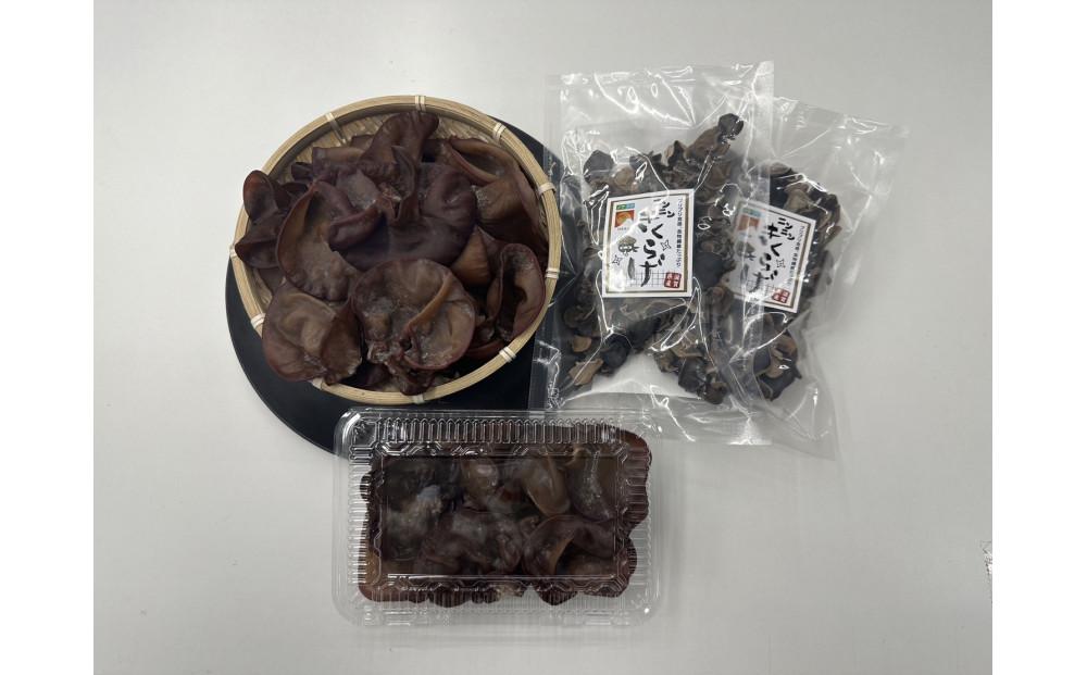 ニンニンきくらげ 生きくらげ 500g (200g × 2パック・100g × 1パック）＆ 乾燥きくらげ 100g (50g × 2袋)