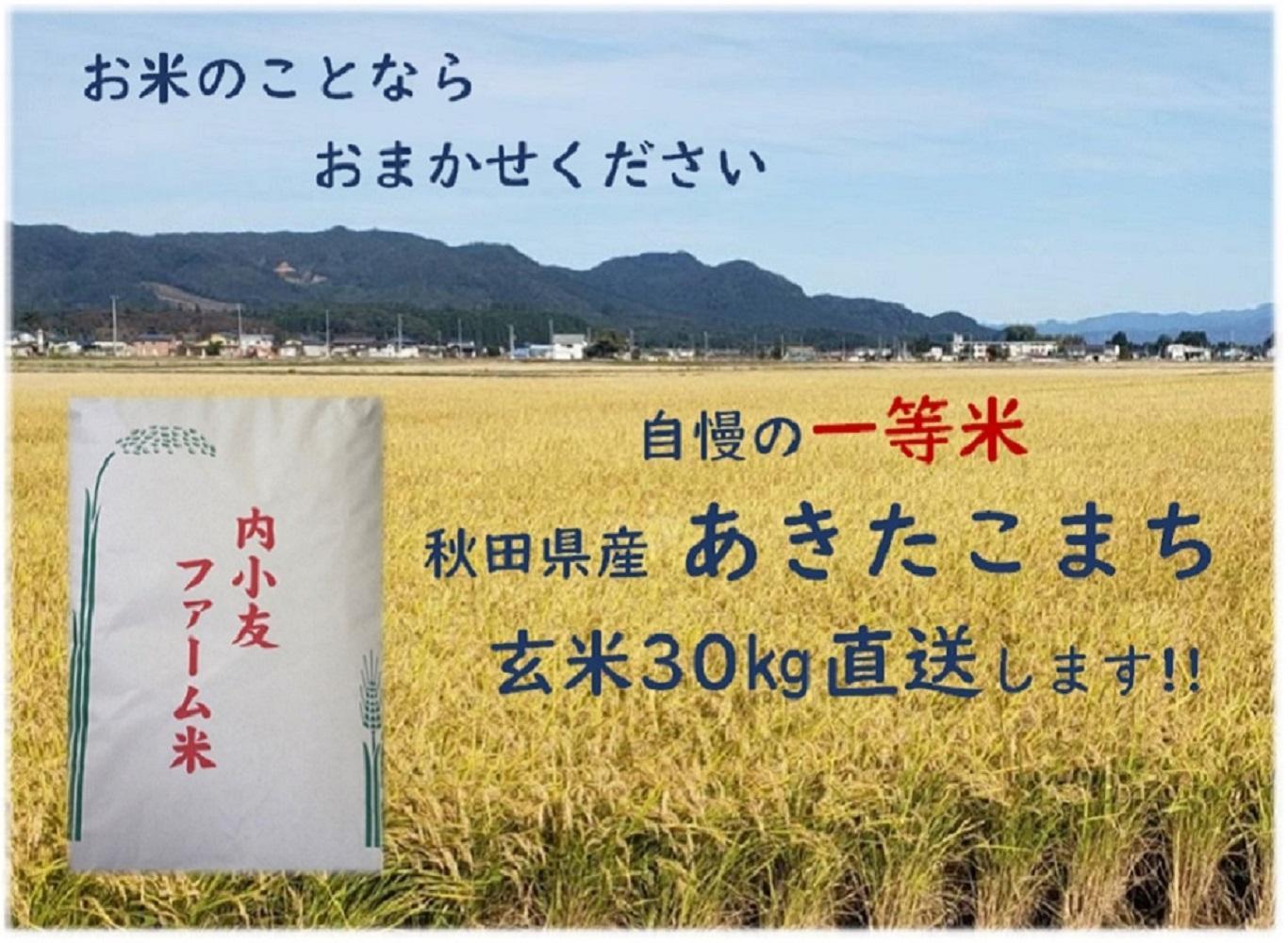 令和6年産 秋田県産あきたこまち 一等米 農家直送 玄米30kg