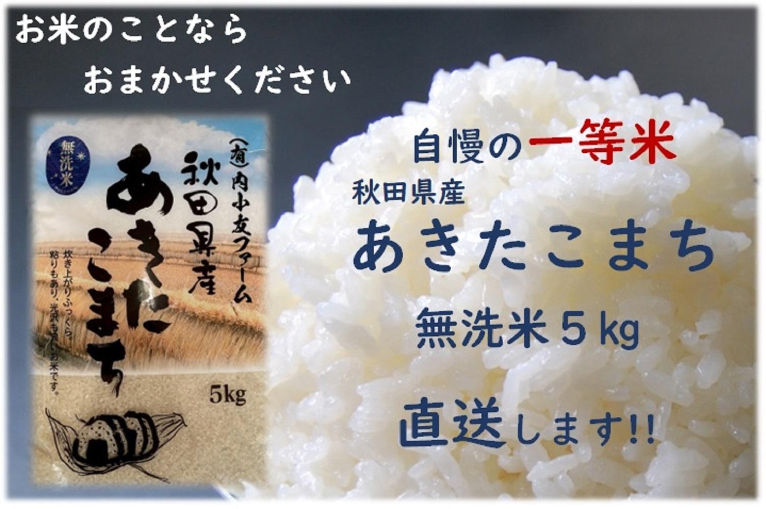 令和6年産 秋田県産あきたこまち 一等米 農家直送 無洗米5kg